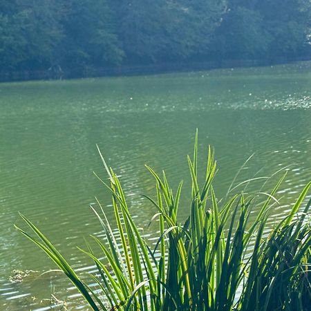 Lac De Lumiere. Relax With Rural Lakeside Living Herry Экстерьер фото